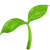 Carbon-Neutral Operations