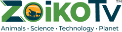 Zoiko TV